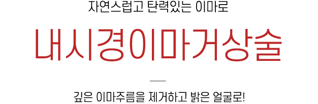 내시경이마거상술