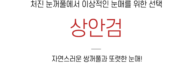 상안검