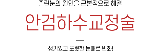 안검하수교정술