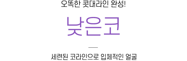 낮은코