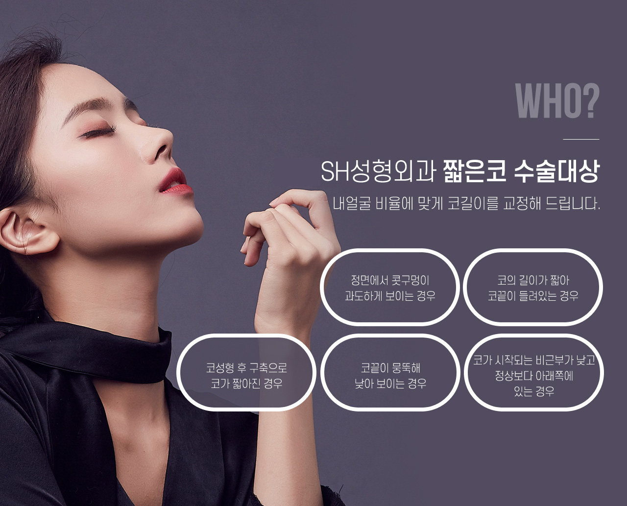 짧은코 수술대상