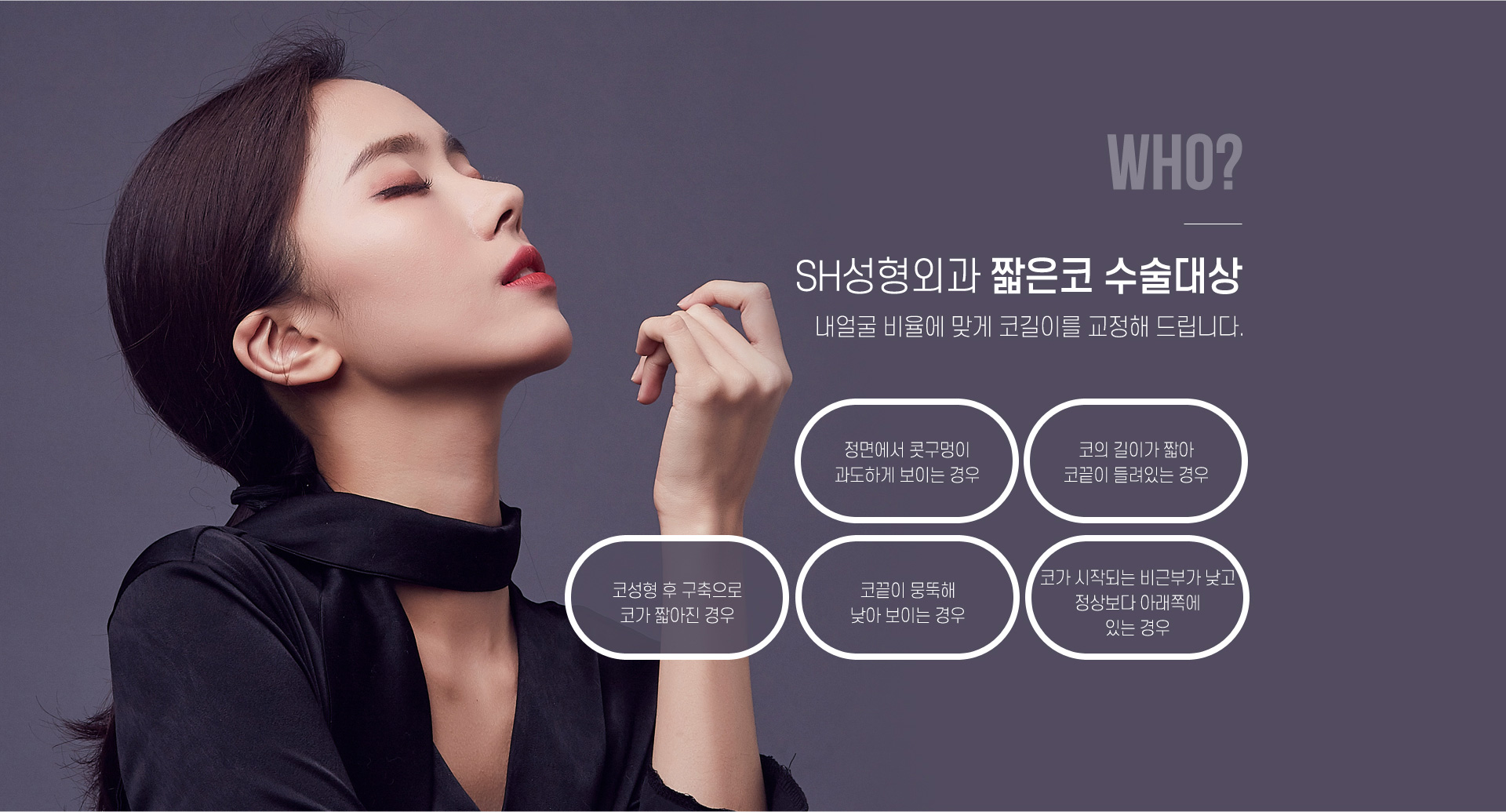 짧은코 수술대상