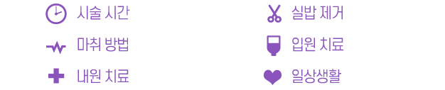 짧은코 안내