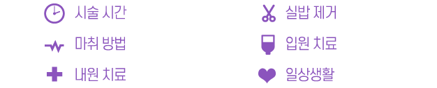 뚱뚱한코 안내