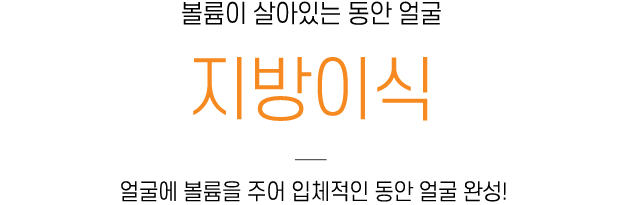 지방이식