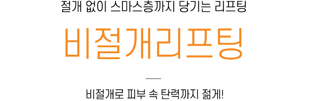 비절개리프팅