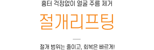 절개리프팅