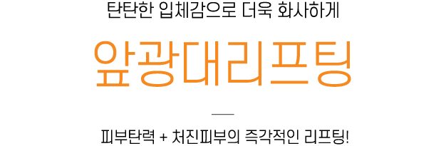 앞광대리프팅