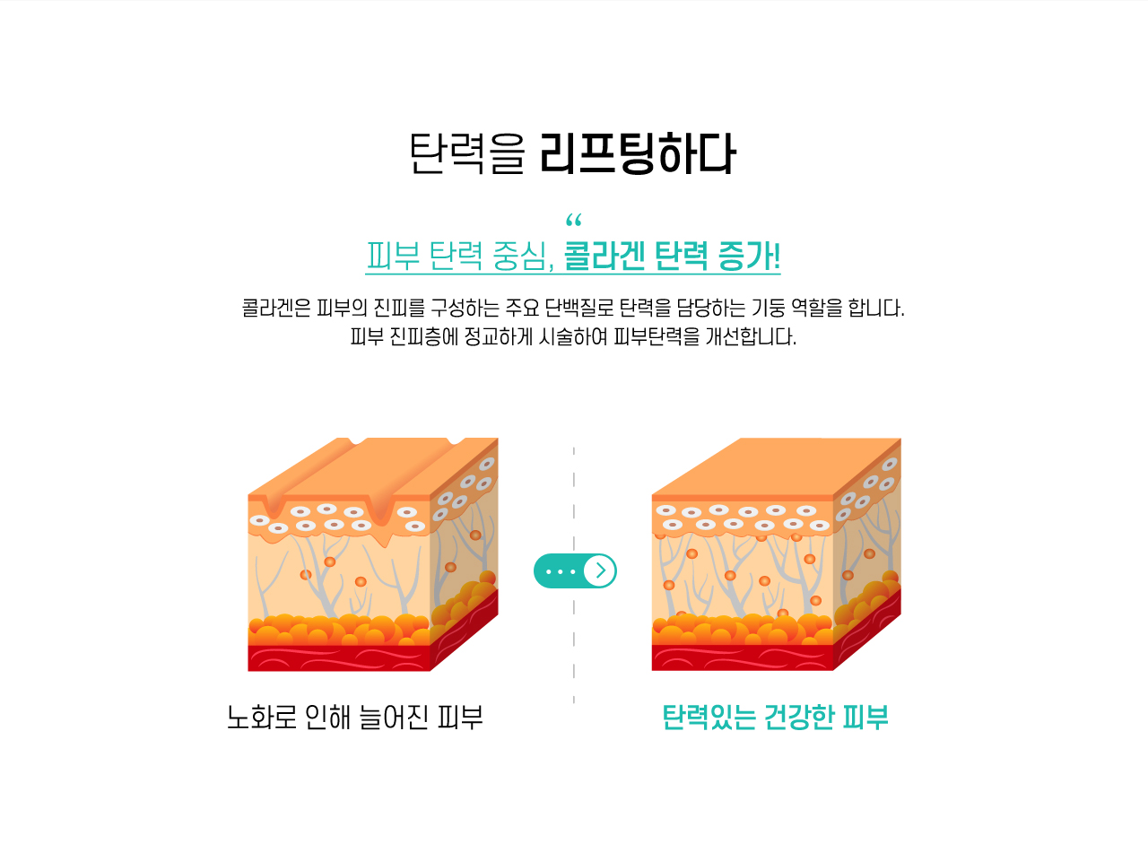 콜라겐 탄력 증가