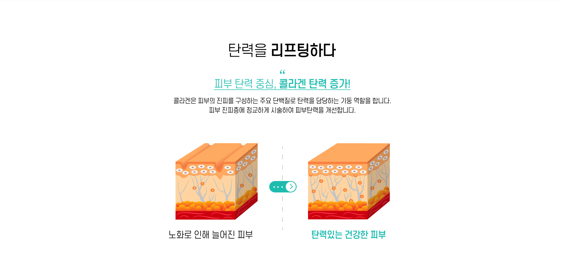 콜라겐 탄력 증가