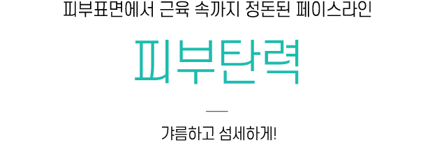 피부탄력