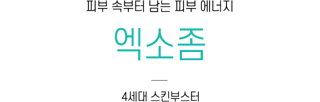 엑소좀