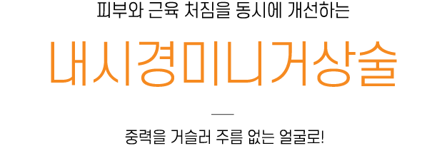 내시경미니거상술