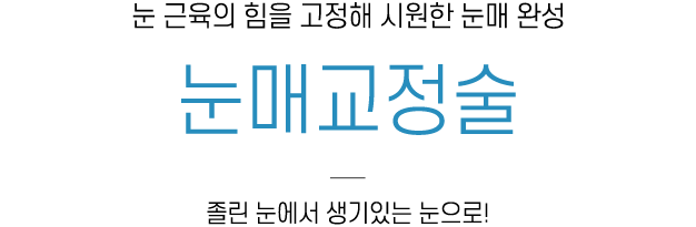 눈매교정술