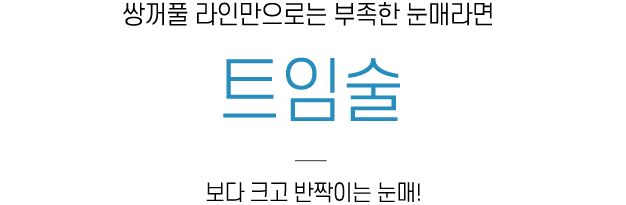 트임술