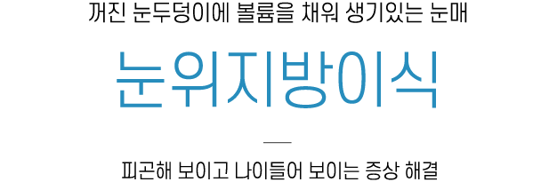 눈위지방이식